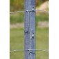Vadháló oszlop 250cm