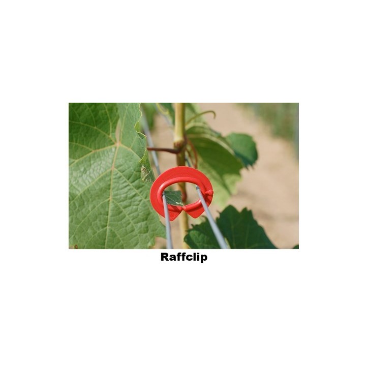 Rema Raffclip kötözőkapocs C kapocs 500db/cs