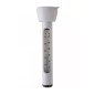 Medence hőmérő Intex