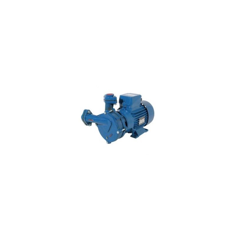 Elpumps CP 207 centrifugál szivattyú 2000 W 230 V