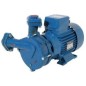 Elpumps CP 207 centrifugál szivattyú 2000 W 230 V